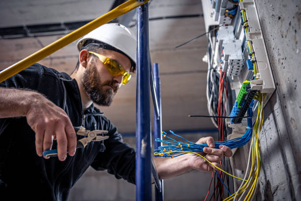 Best Affordable Electrician  in Green Cove Springs, FL